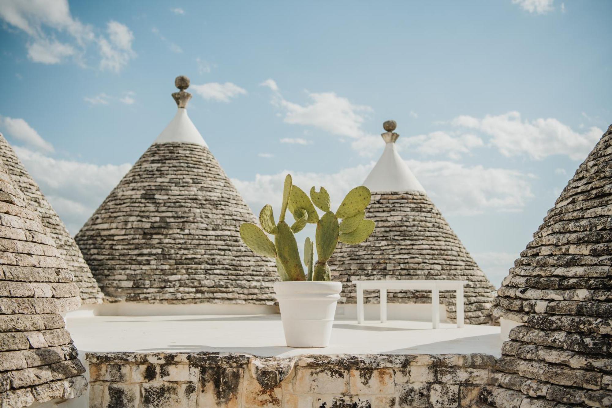 Nina Trulli Resort 塞尔瓦·迪·法萨诺 外观 照片